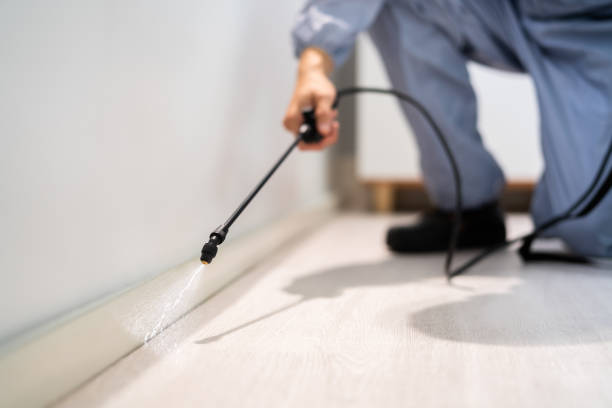 Licensed Emergency Pest Control service in Lynchburg city County, VA - Nex Pest Control