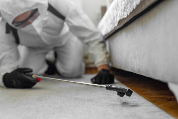 Professional Emergency Pest Control technician working in Lynchburg city County, VA